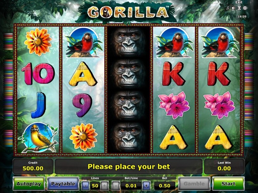 Gorilla