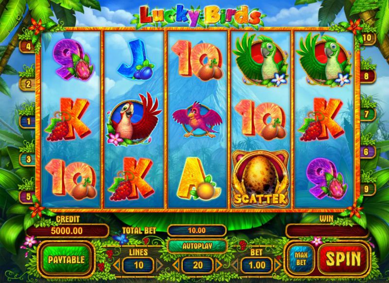 Lucky Birds